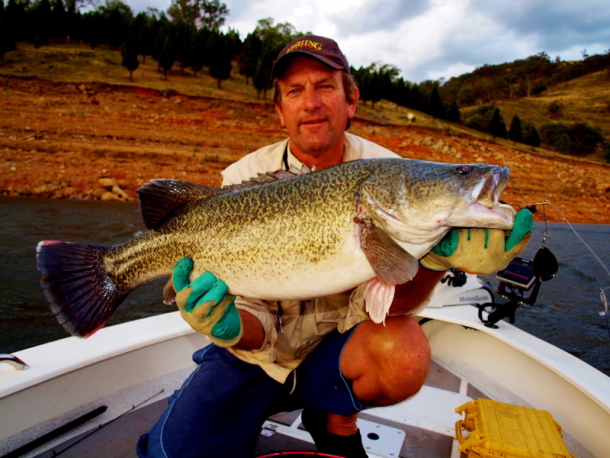 Over 20,000 trout cod were recently released into the Macquarie River at three locations downstream of Bathurst.